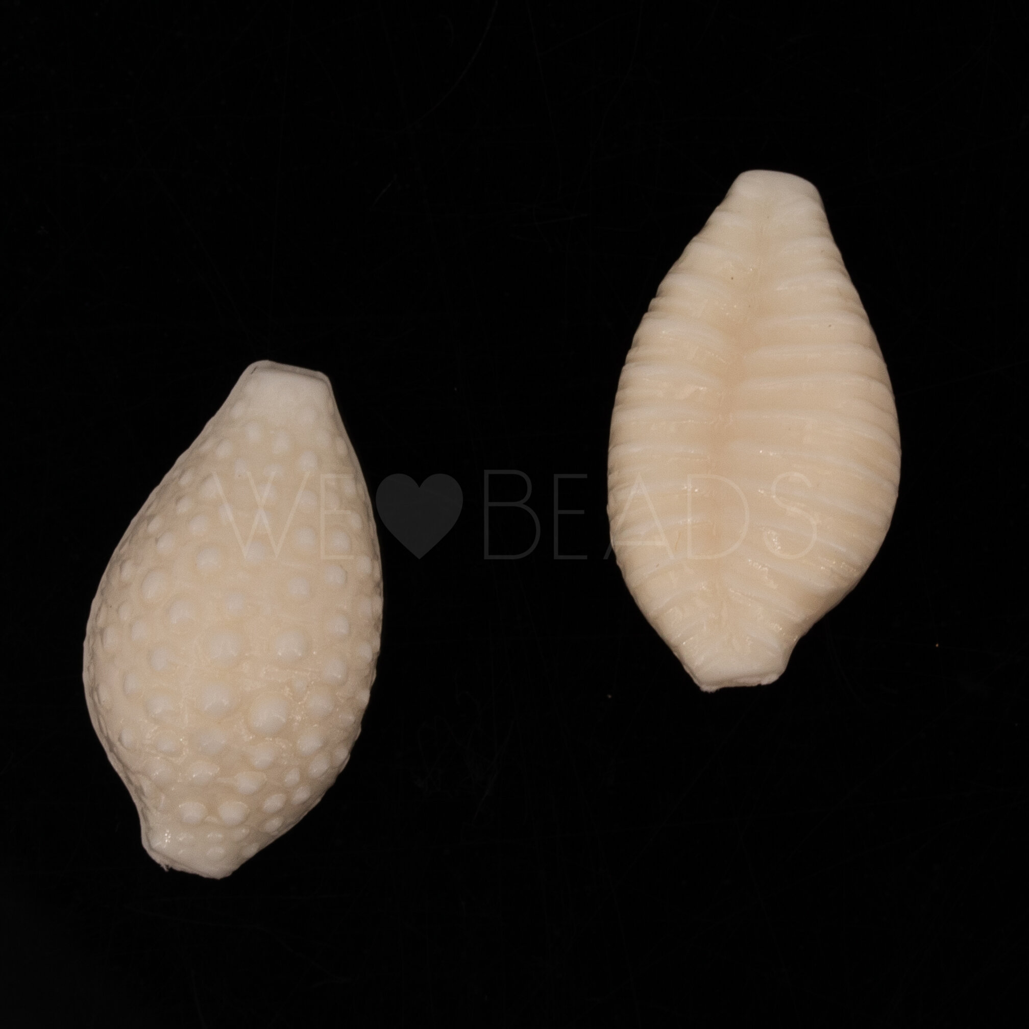 20mm Muschel Perle in elfenbein