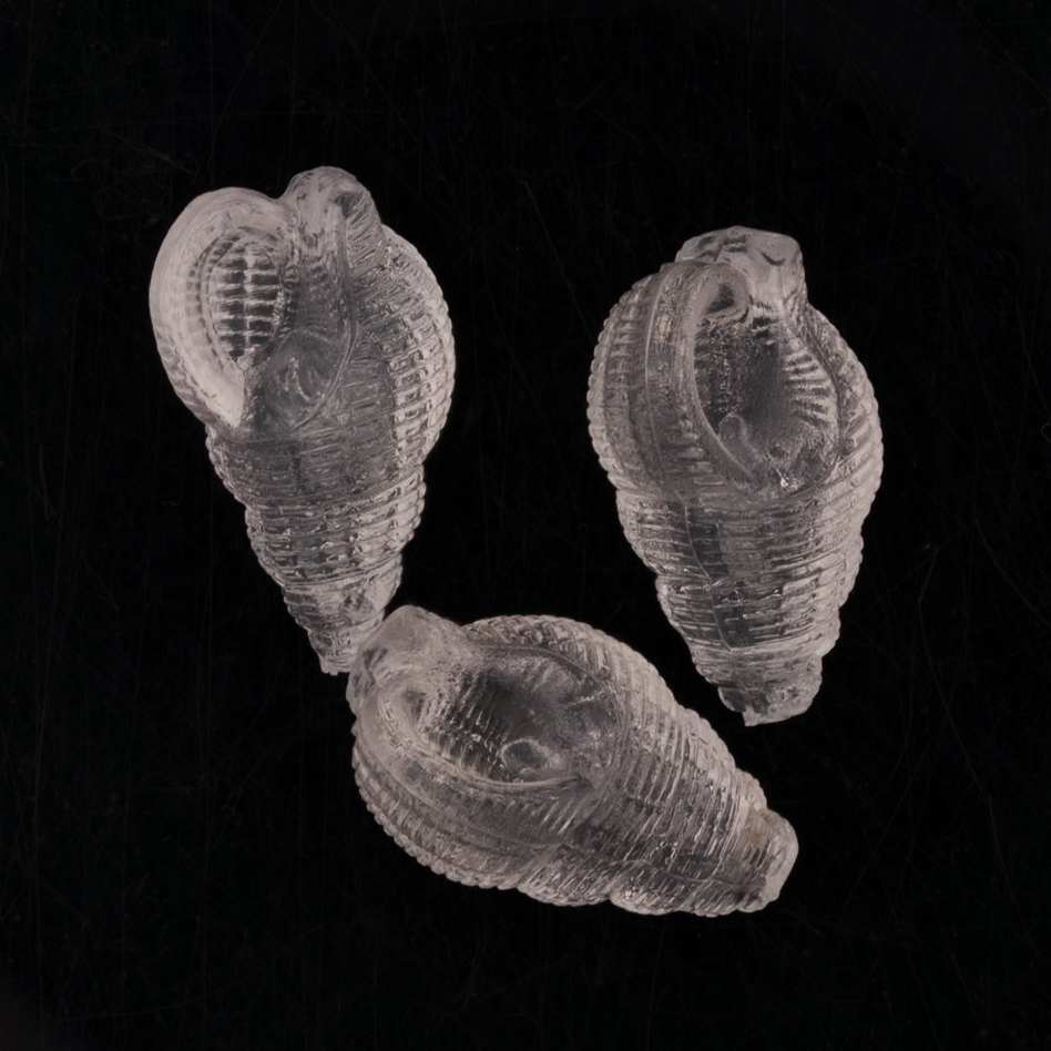 20x13 Muschel Perle in Kristall