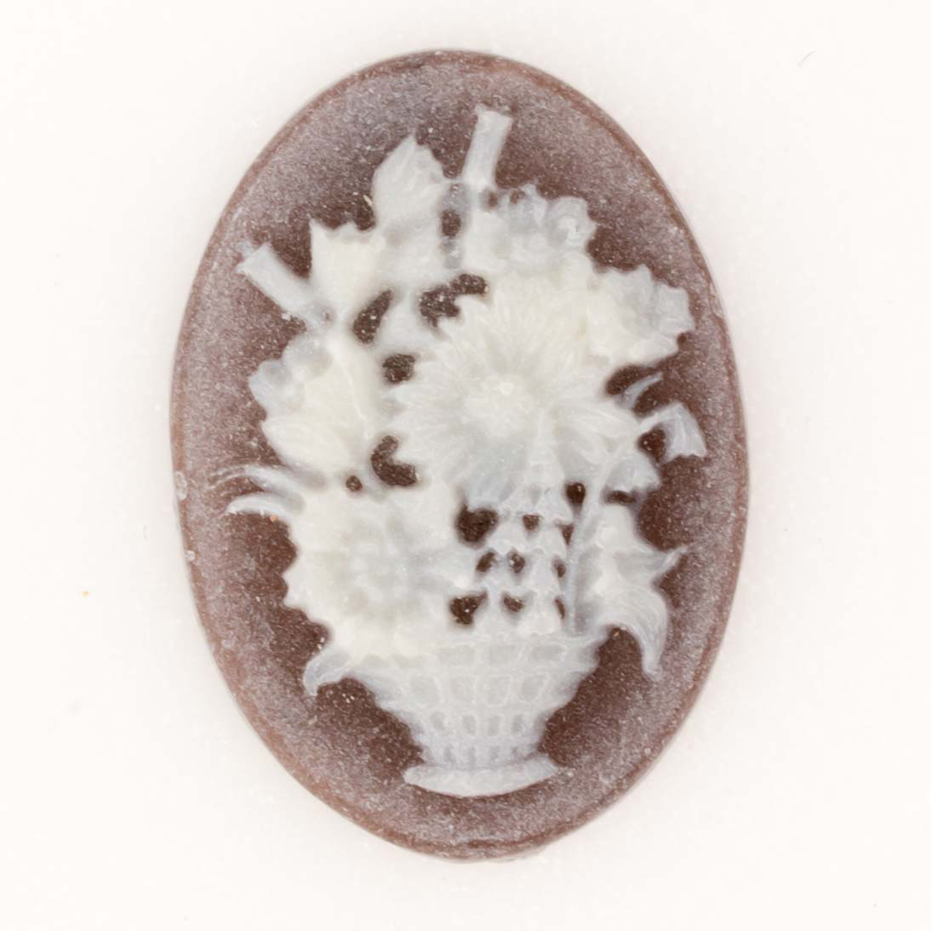 18x13 Kamee oval in Braun / Elfenbein