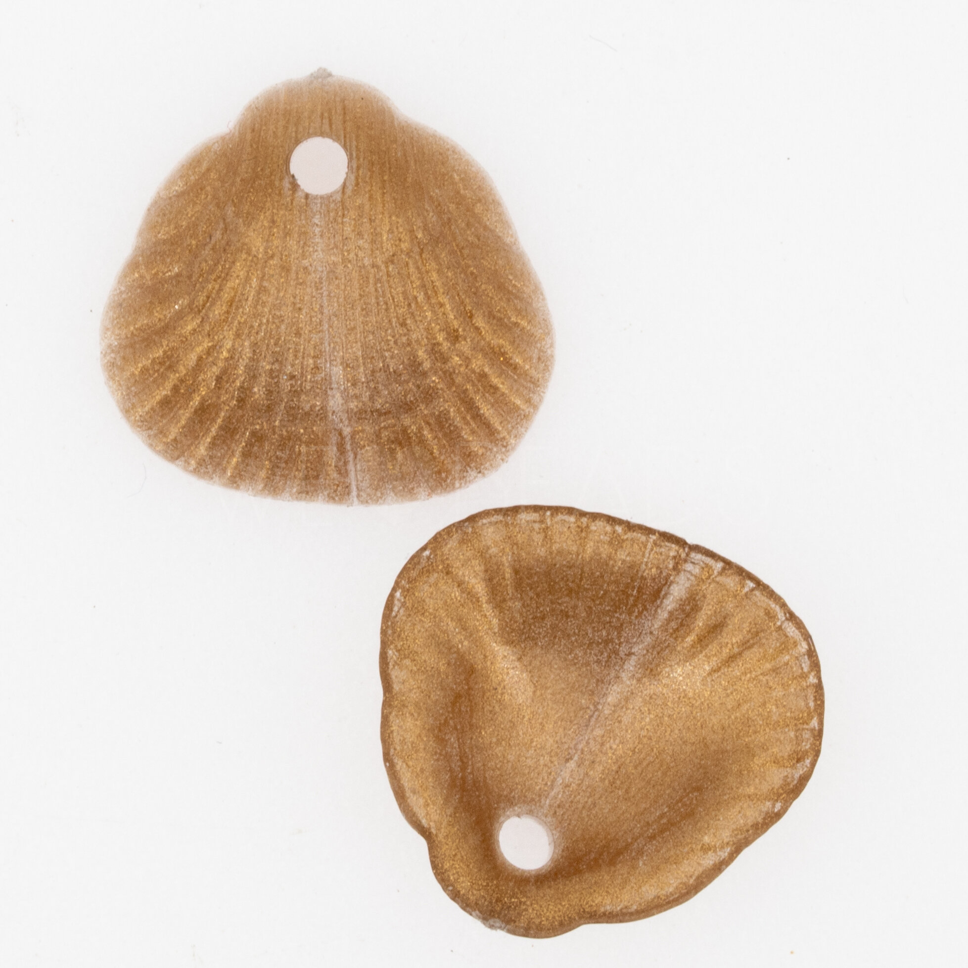 18x17 Muschel Anhänger in goldbasis