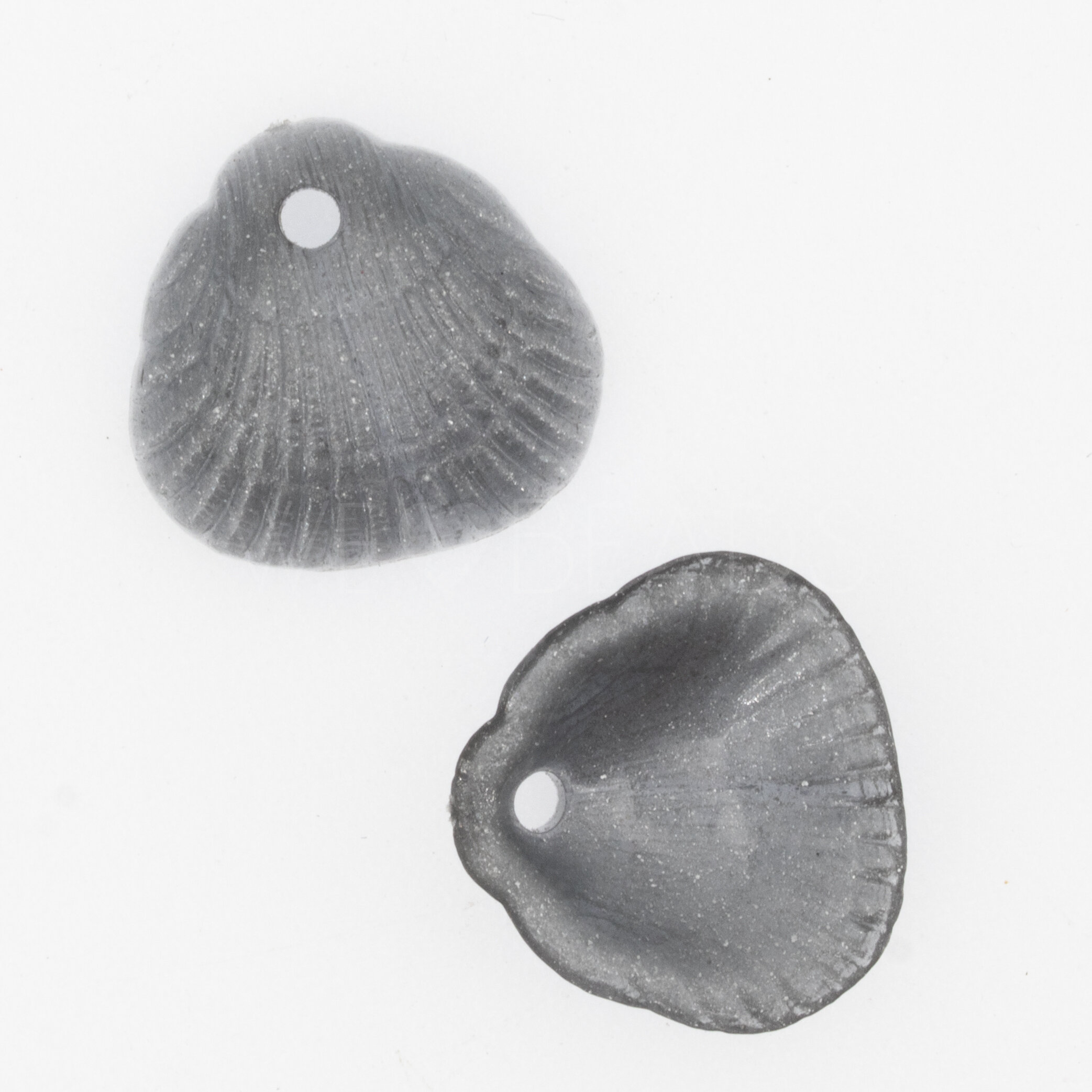 18x17 Shell Charm in silverbase