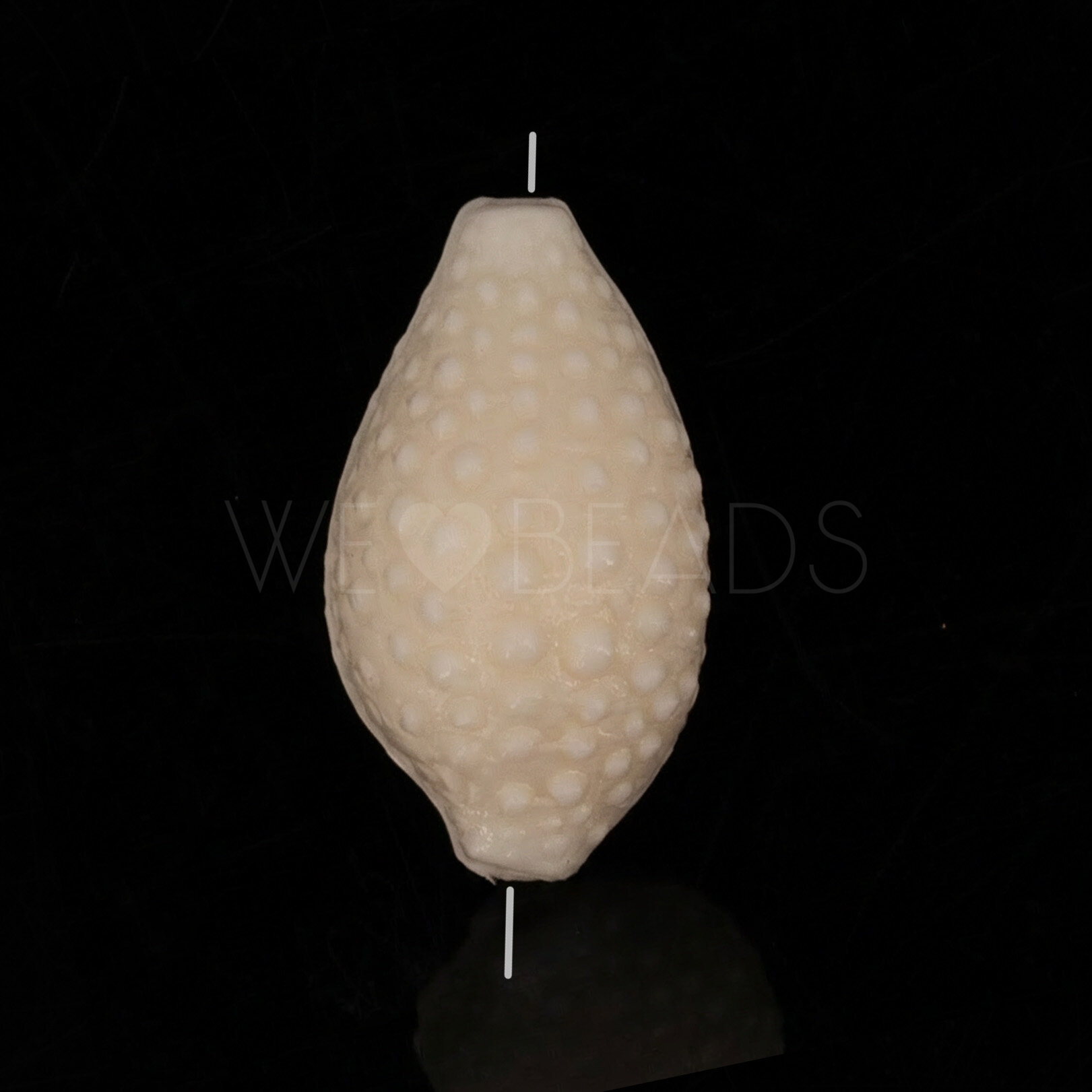 20mm Muschel Perle in elfenbein