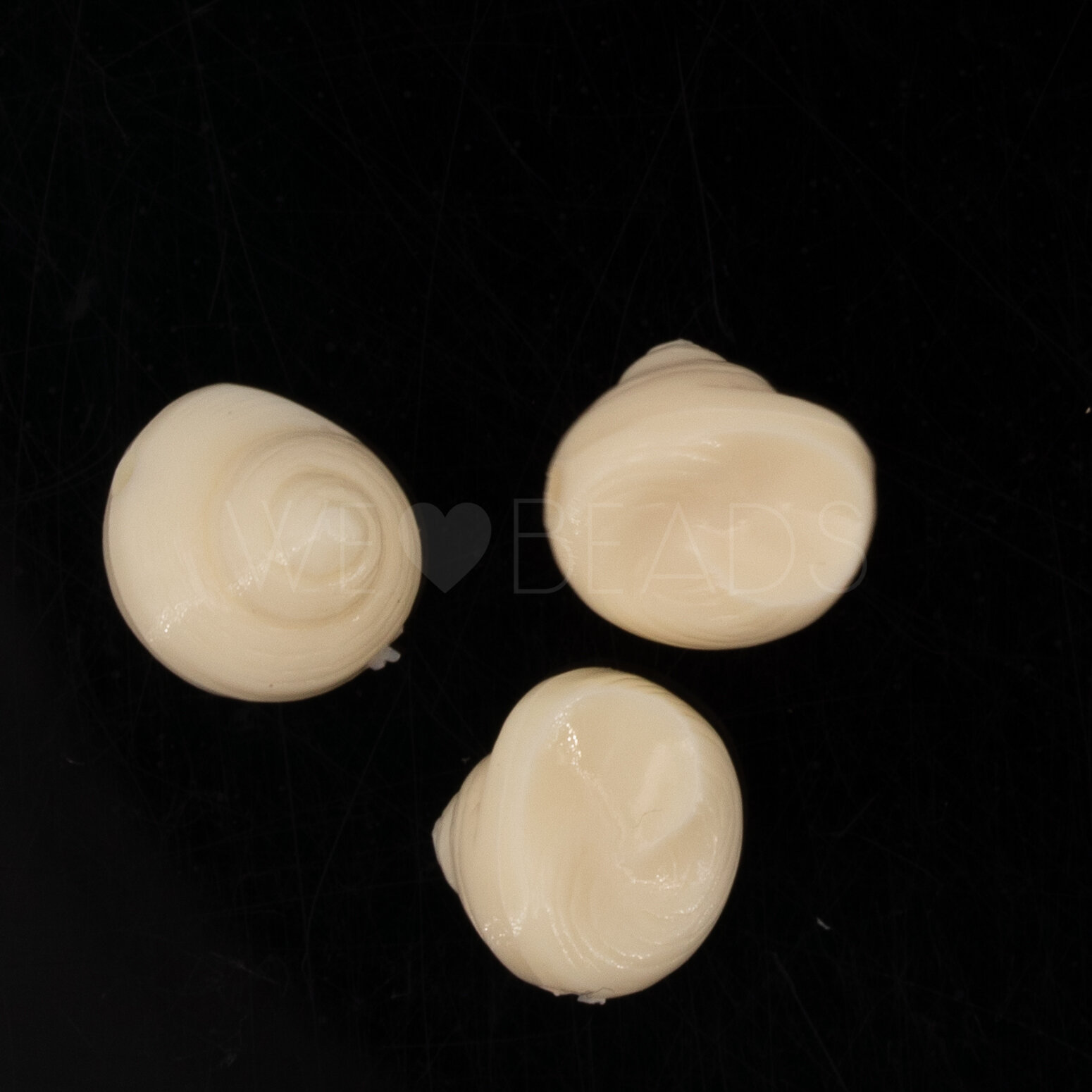 9mm Muschel Perle in elfenbein