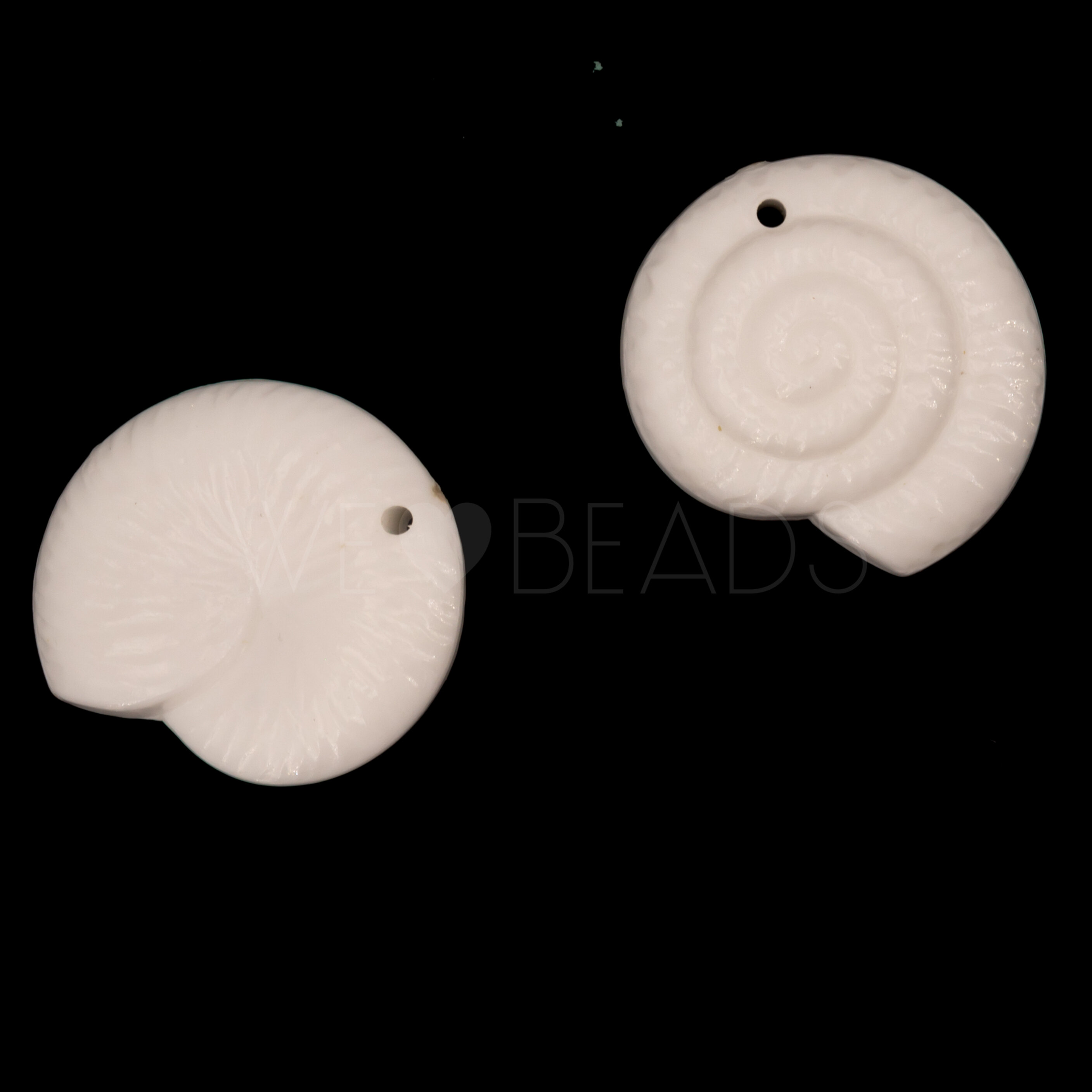 22mm Ammonit Muschel Anhänger in weiß