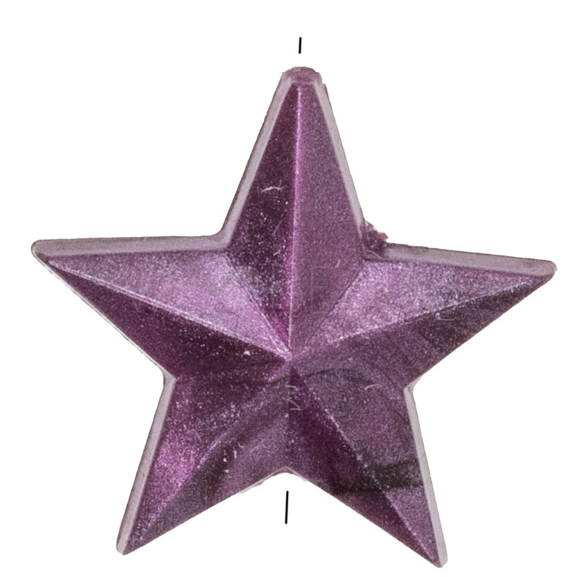 14mm Star Beads in aubergine