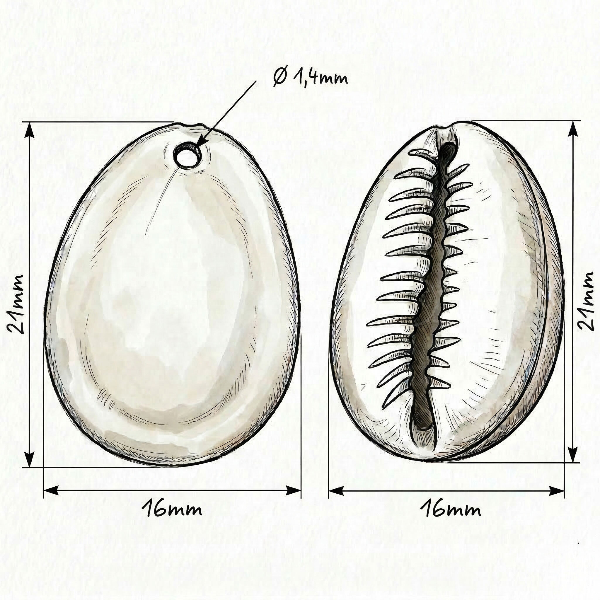 21x16 Shell Charm in cyclamen pink