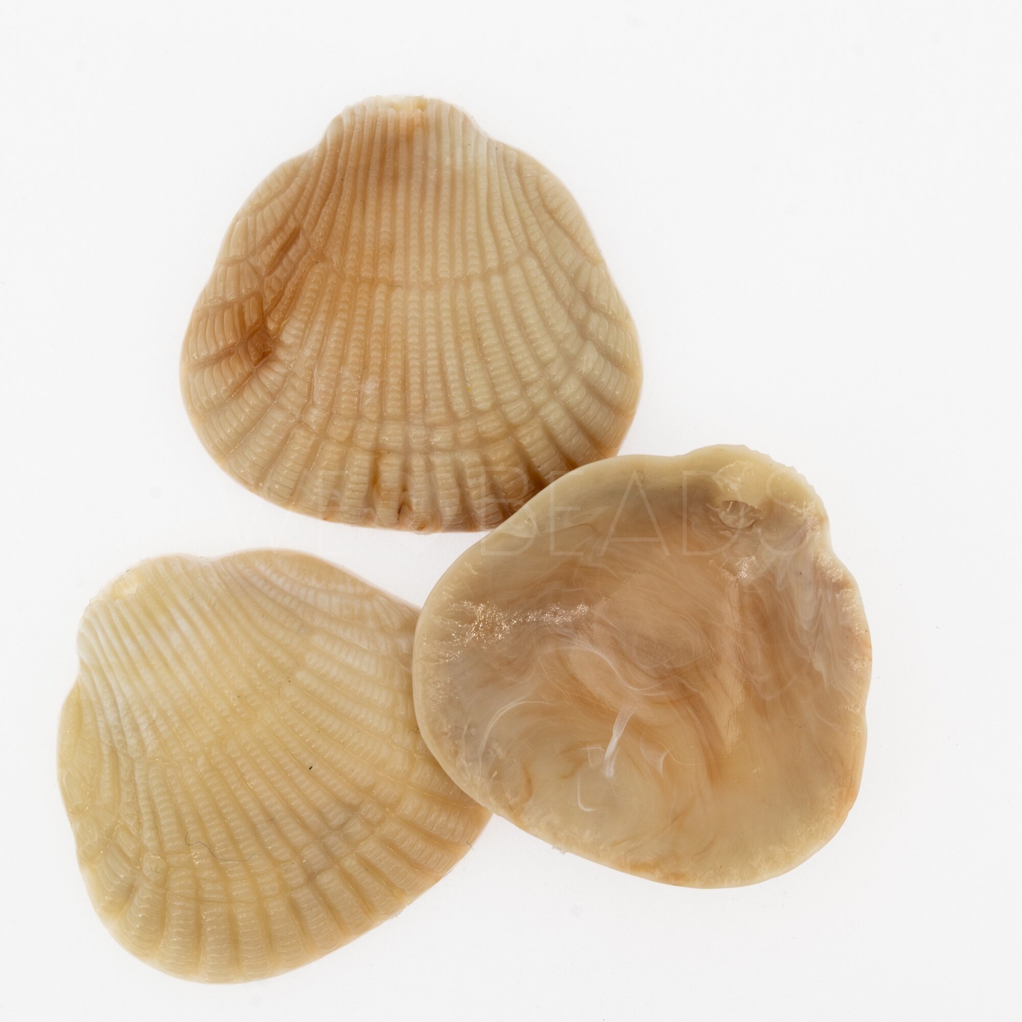 36x34 Muschel Anhänger in sesam beige