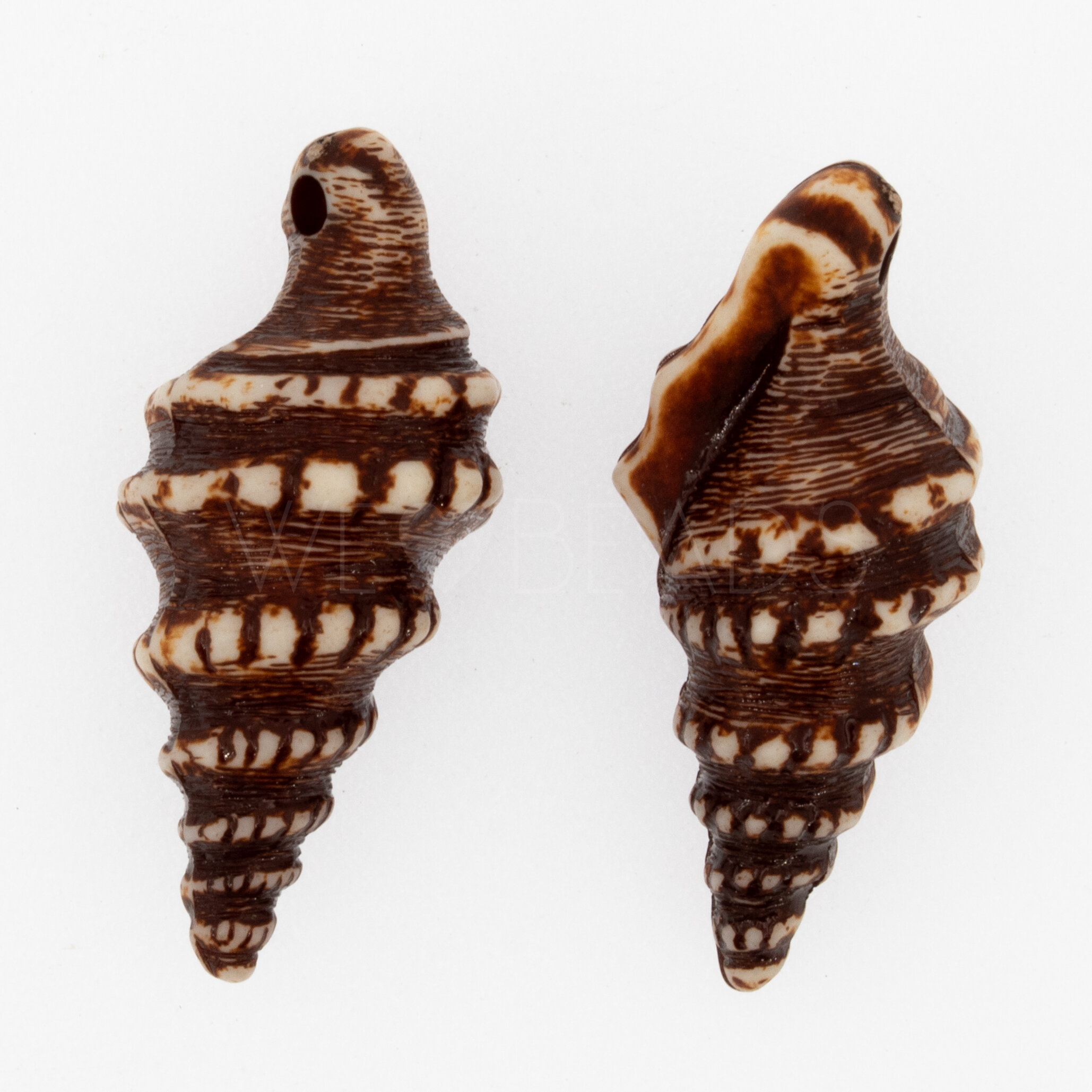 32mm Shell Charm in ivory-brown