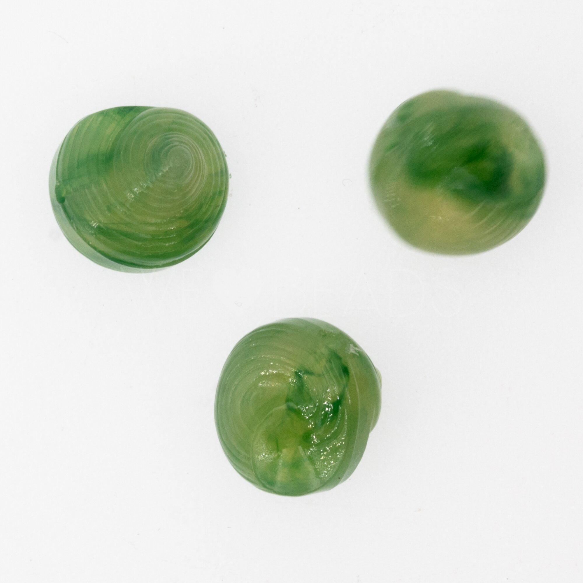 Muschel Perle in Farngrün