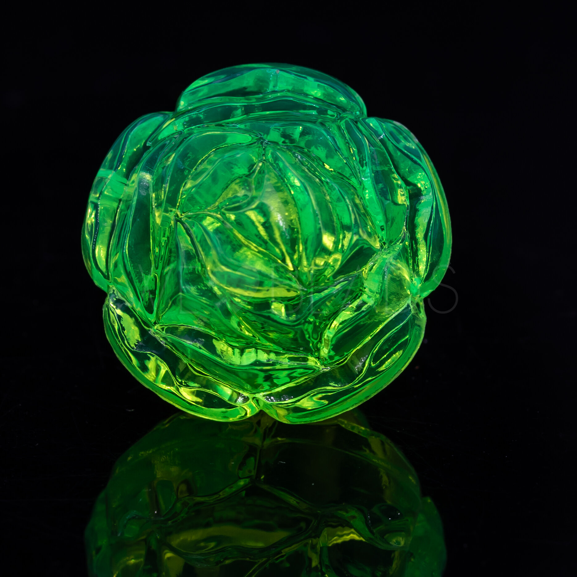 22mm Rose Perle in neon grün