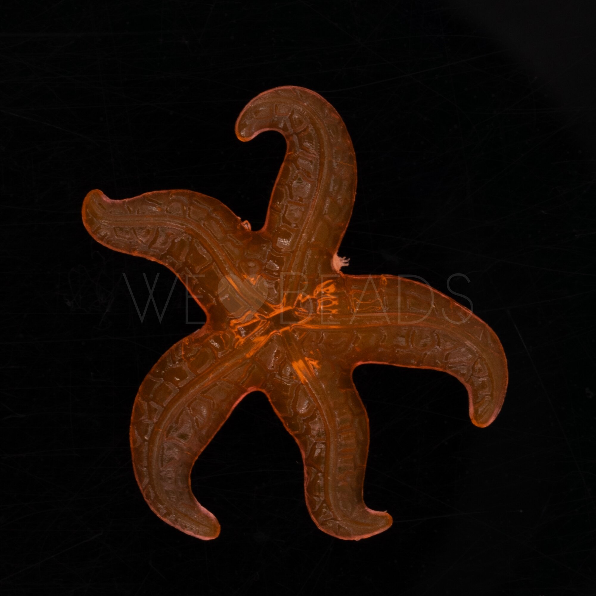 31mm Seestern Cabochon in