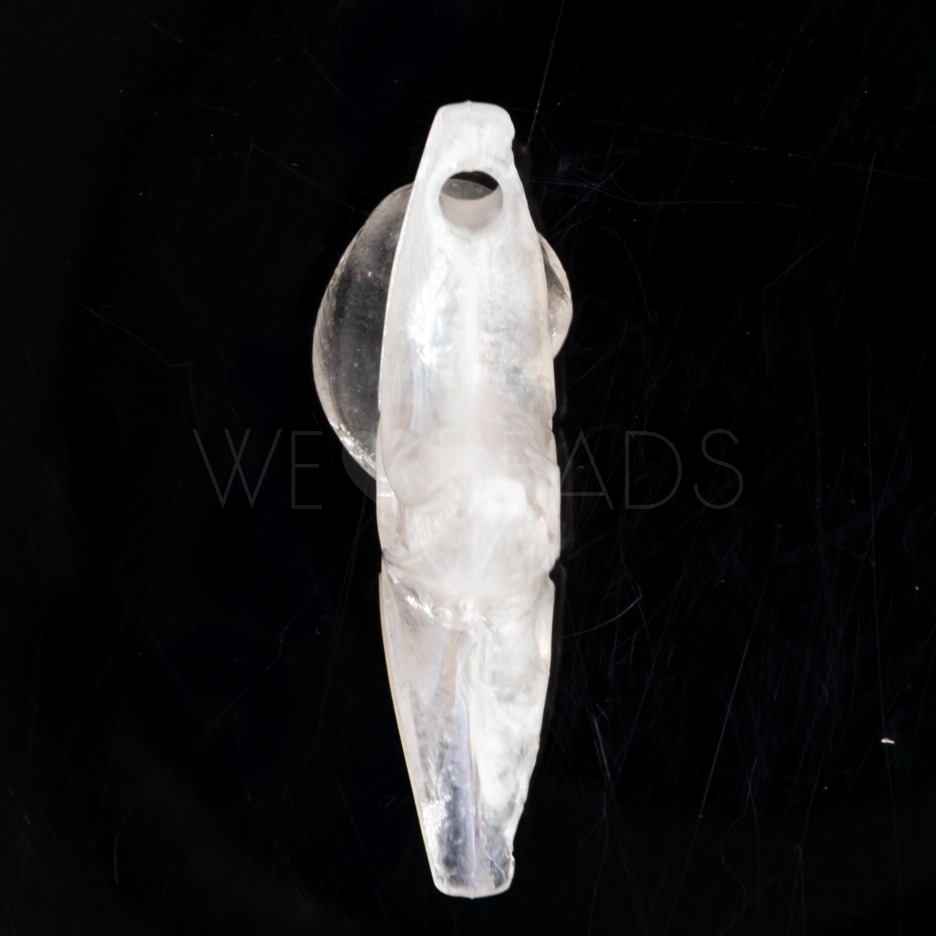 36x15 Perle Seestern in Champanger