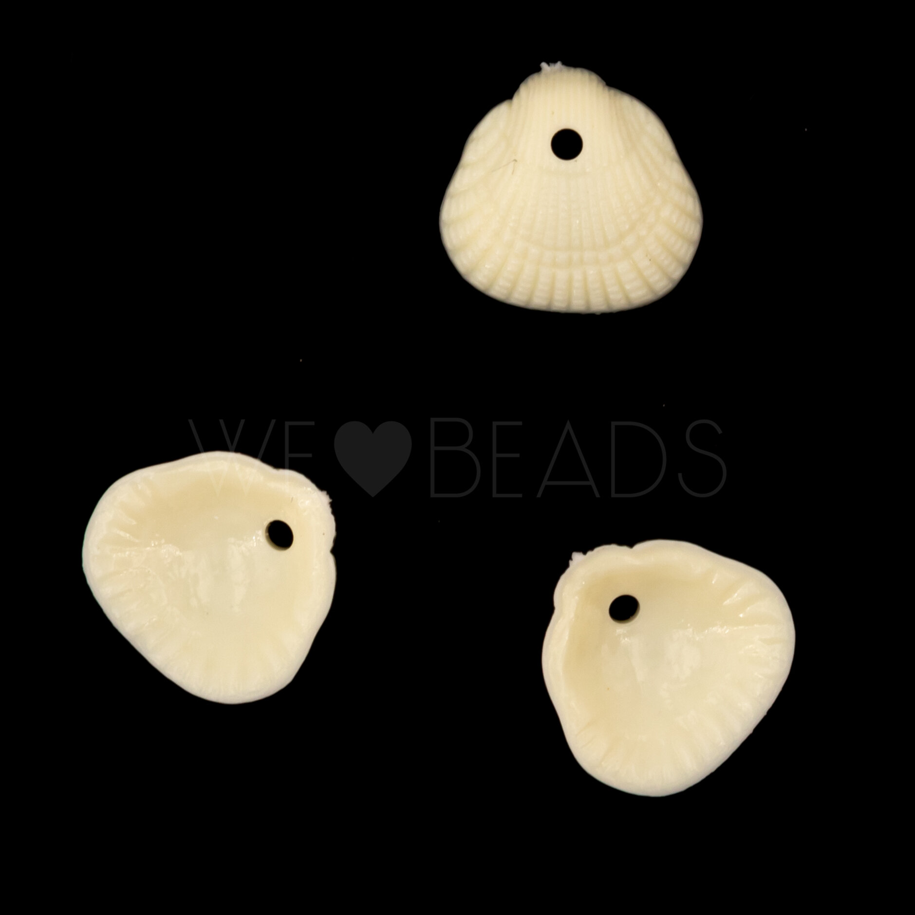 10mm Muschel Anhänger in elfenbein