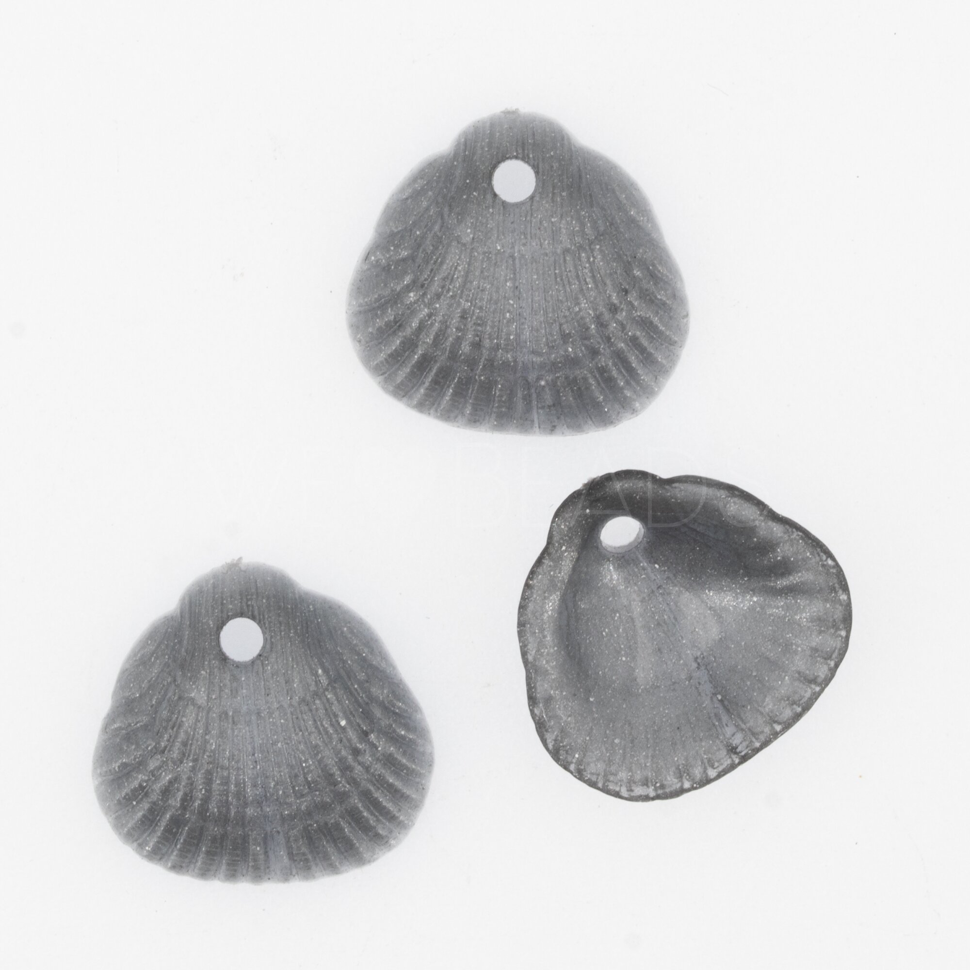 18x17 Shell Charm in silverbase