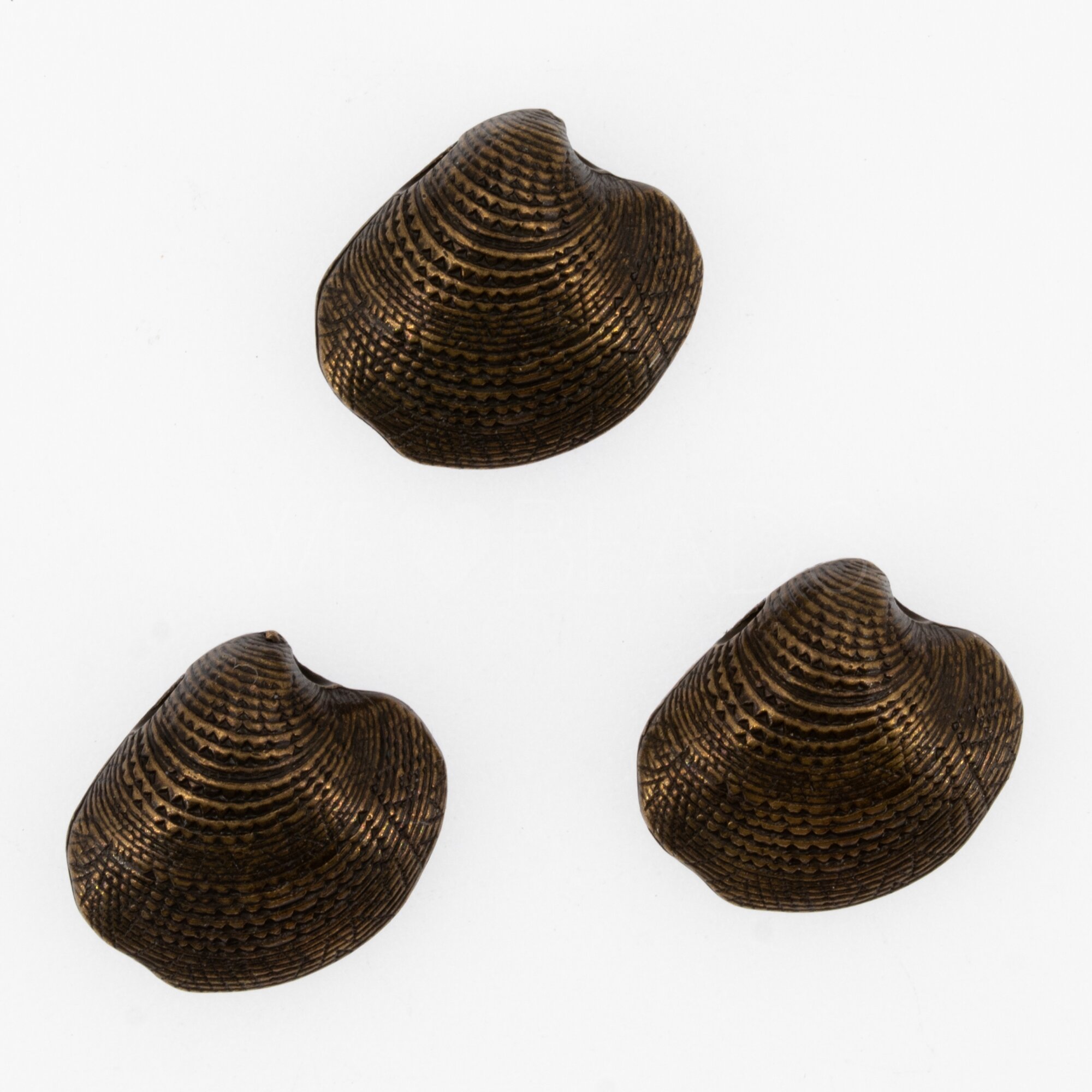 19mm Venusmuschel  Perle in Altgold