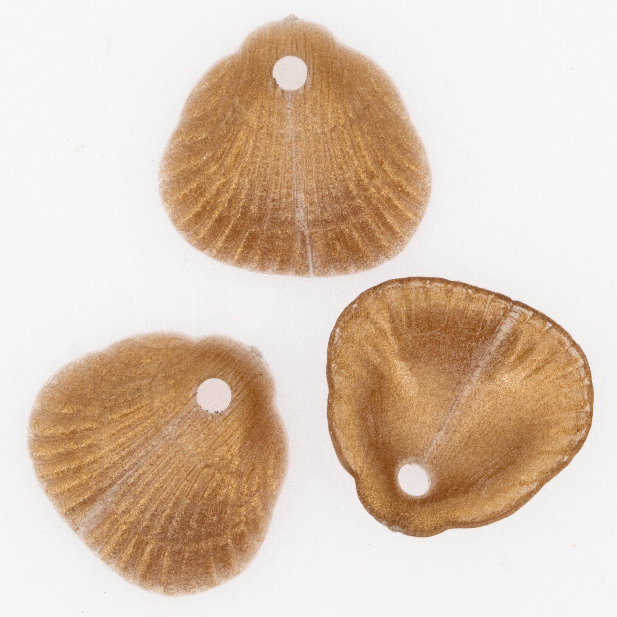 18x17 Muschel Anhänger in goldbasis