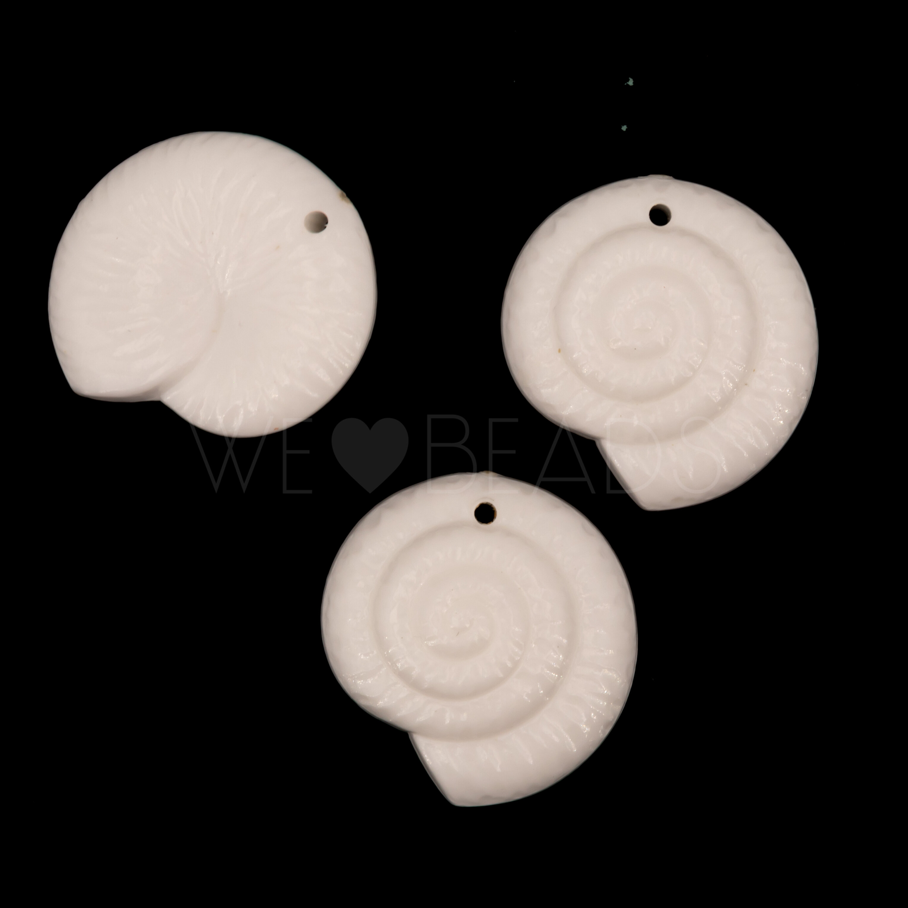 22mm Ammonit Muschel Anhänger in weiß