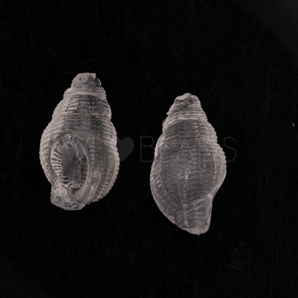 20x13 Muschel Perle in Kristall