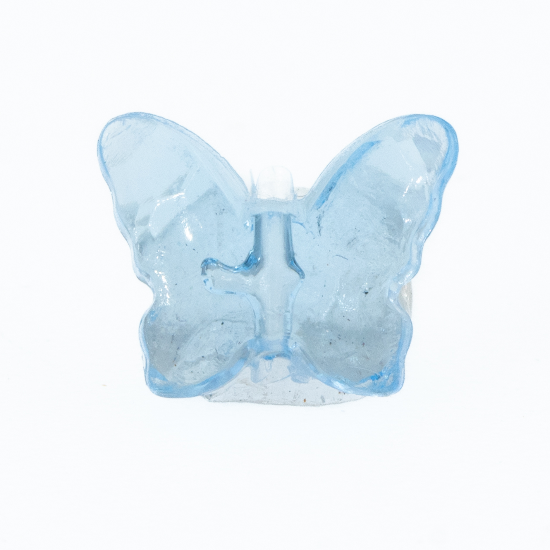 11x9 Schmetterling  in Luftbad blau Transparent