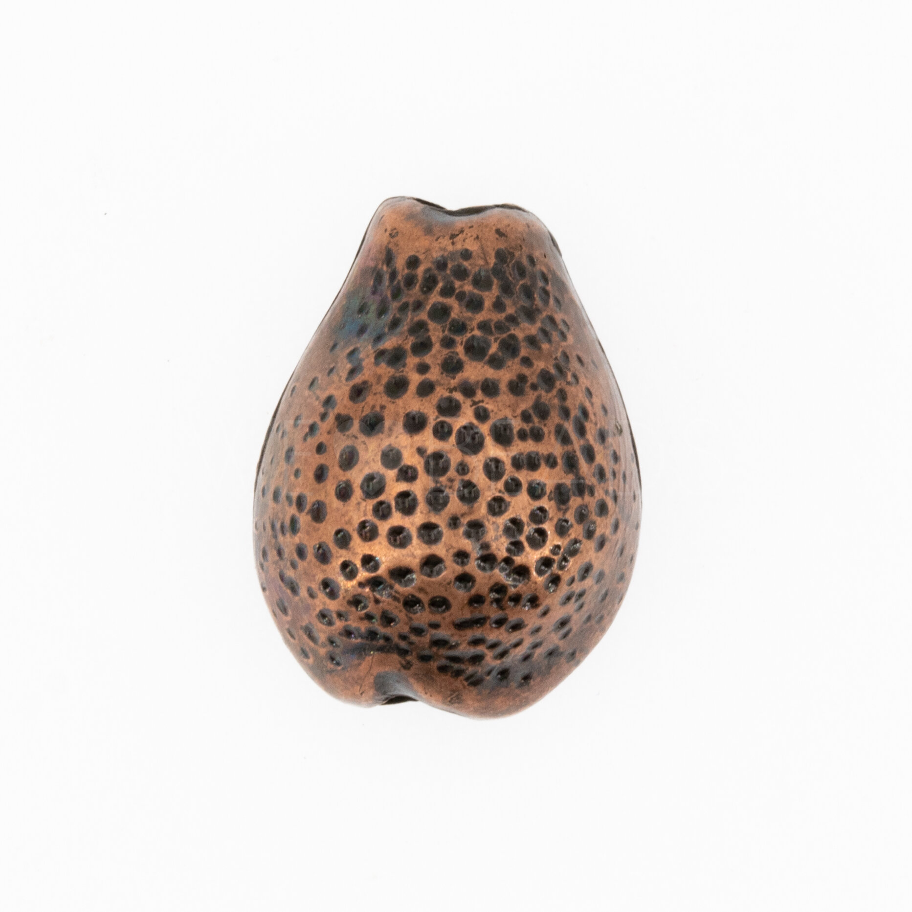 21x16 Kauri Muschel Perle in Metallic Kupfer