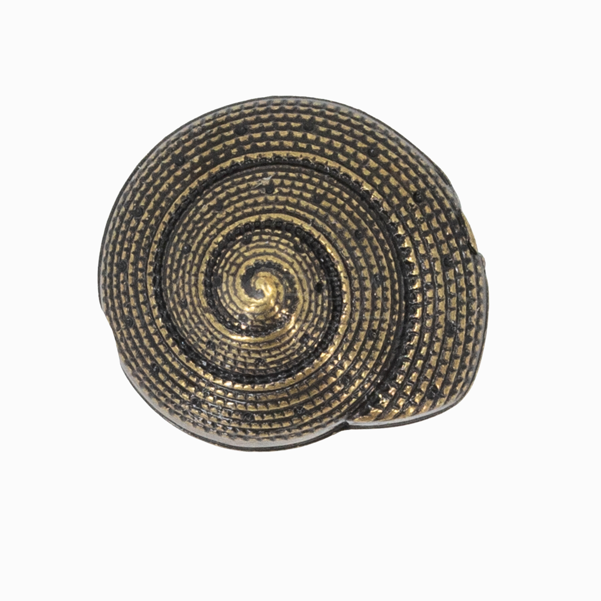 17mm Muschel Perle in Altgold