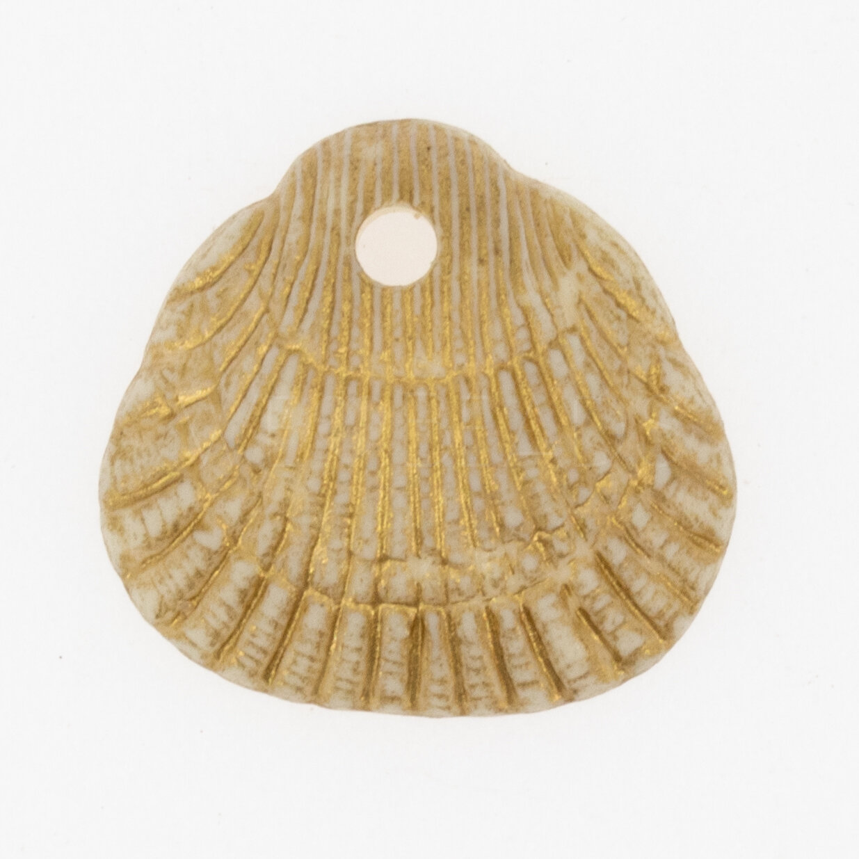 18x17 Shell Charm in ivory
