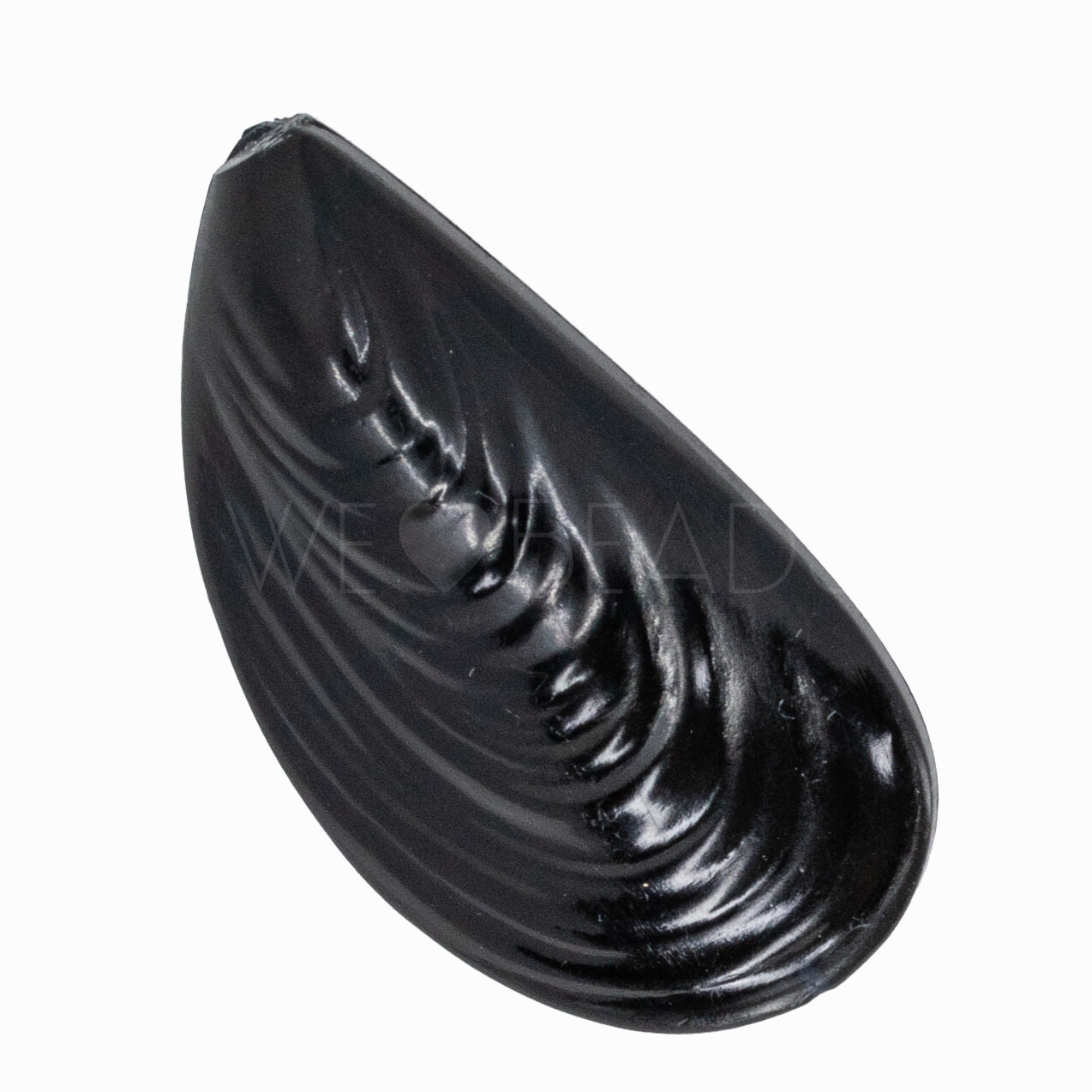 Shell Beads in black
