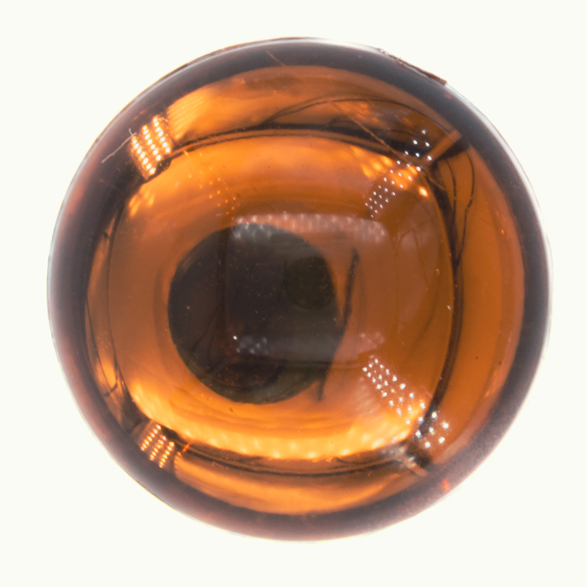 16mm Cabochon Rund in braun