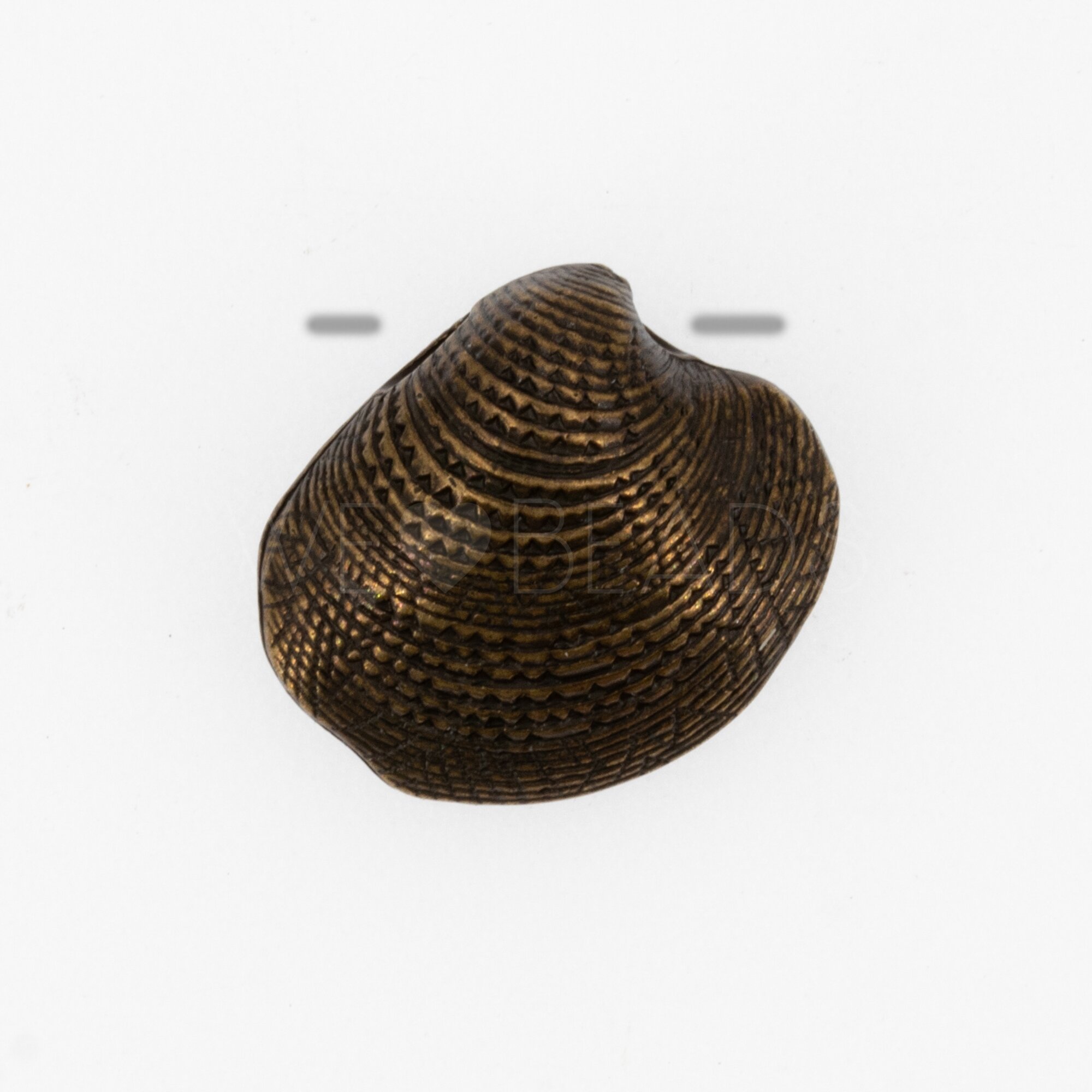 19mm Venusmuschel  Perle in Altgold