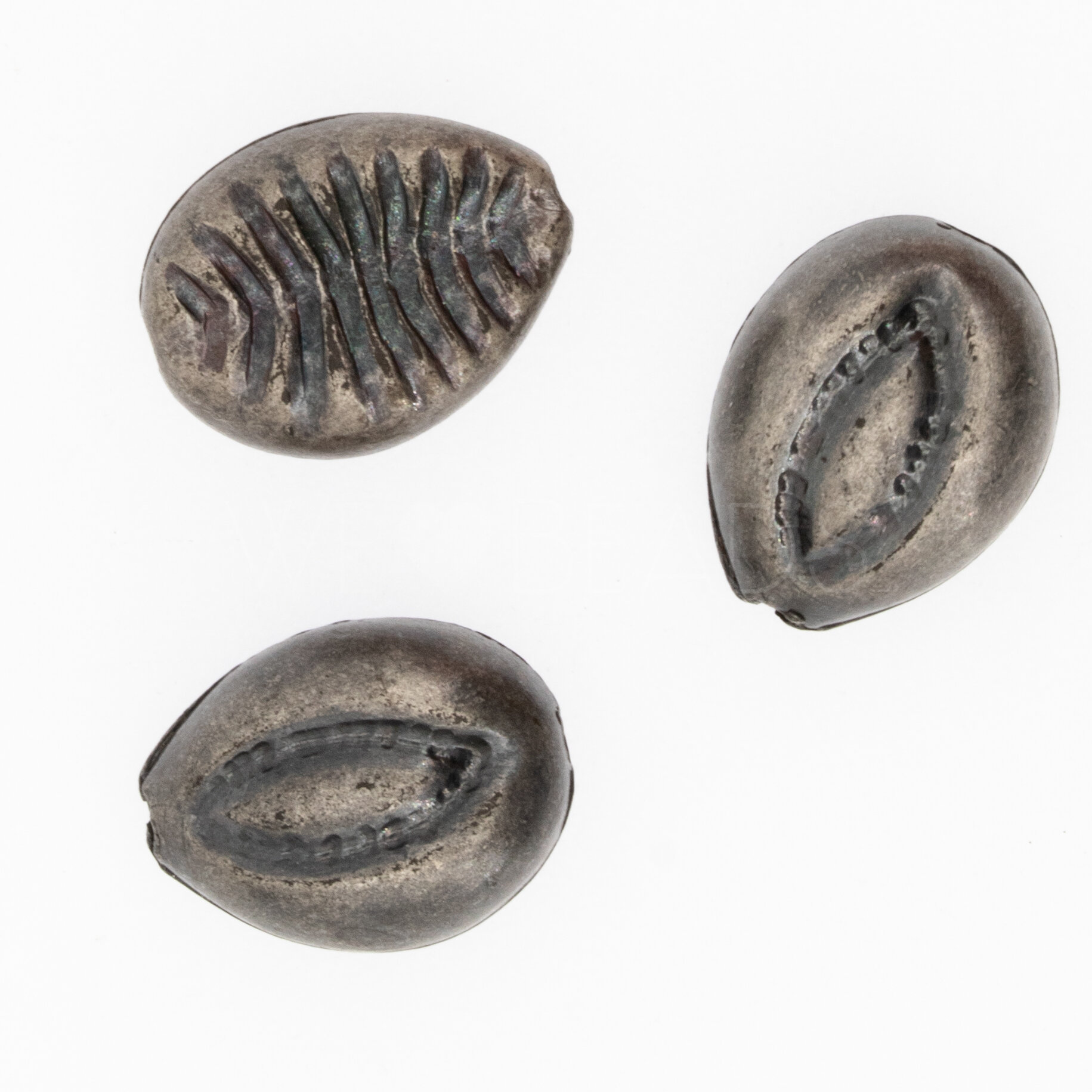 15mm Muschel Perle in Antik silber