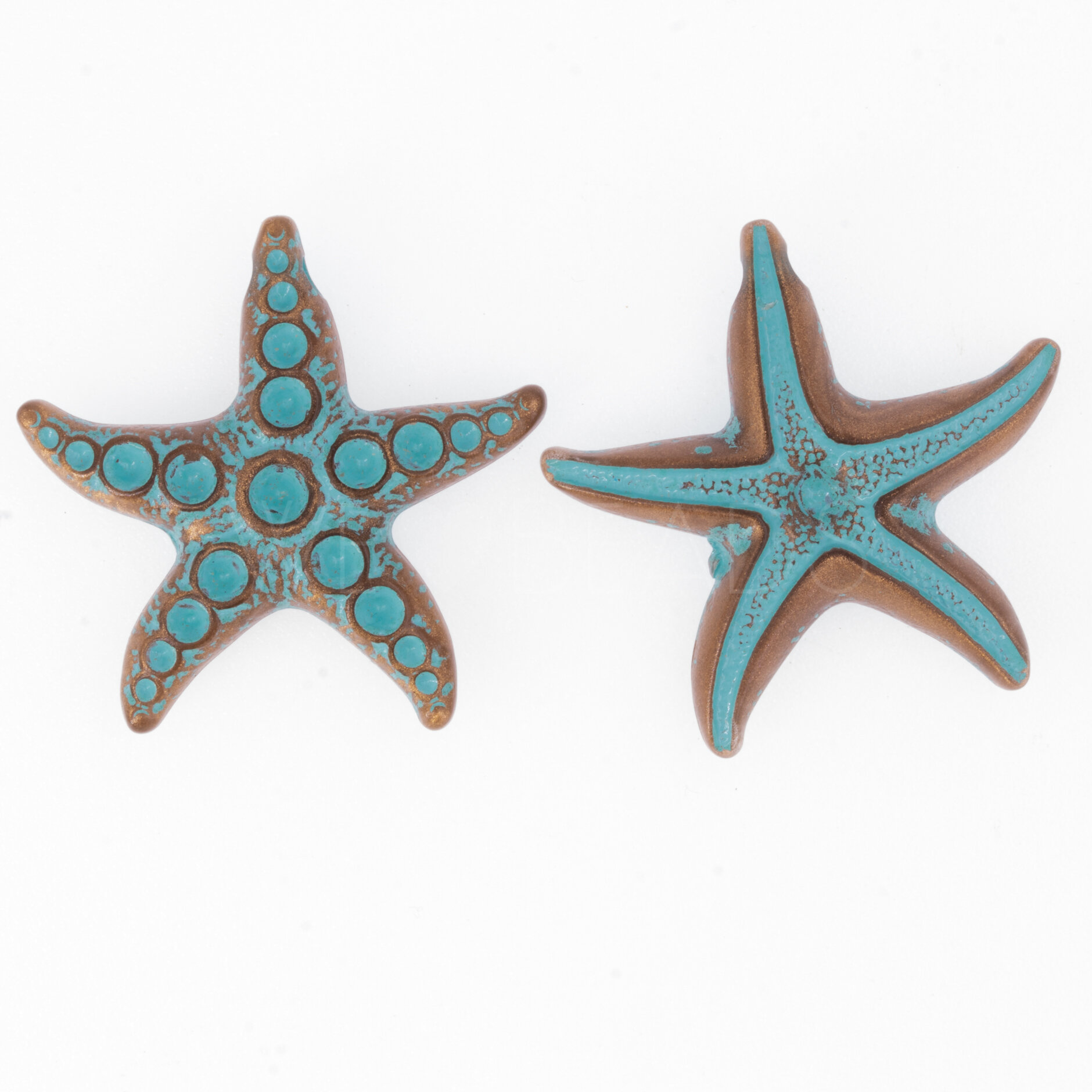 36x15 Perle Seestern in patina