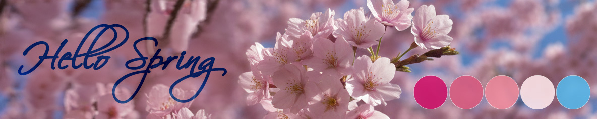 Hello-Spring-WLB-5x1