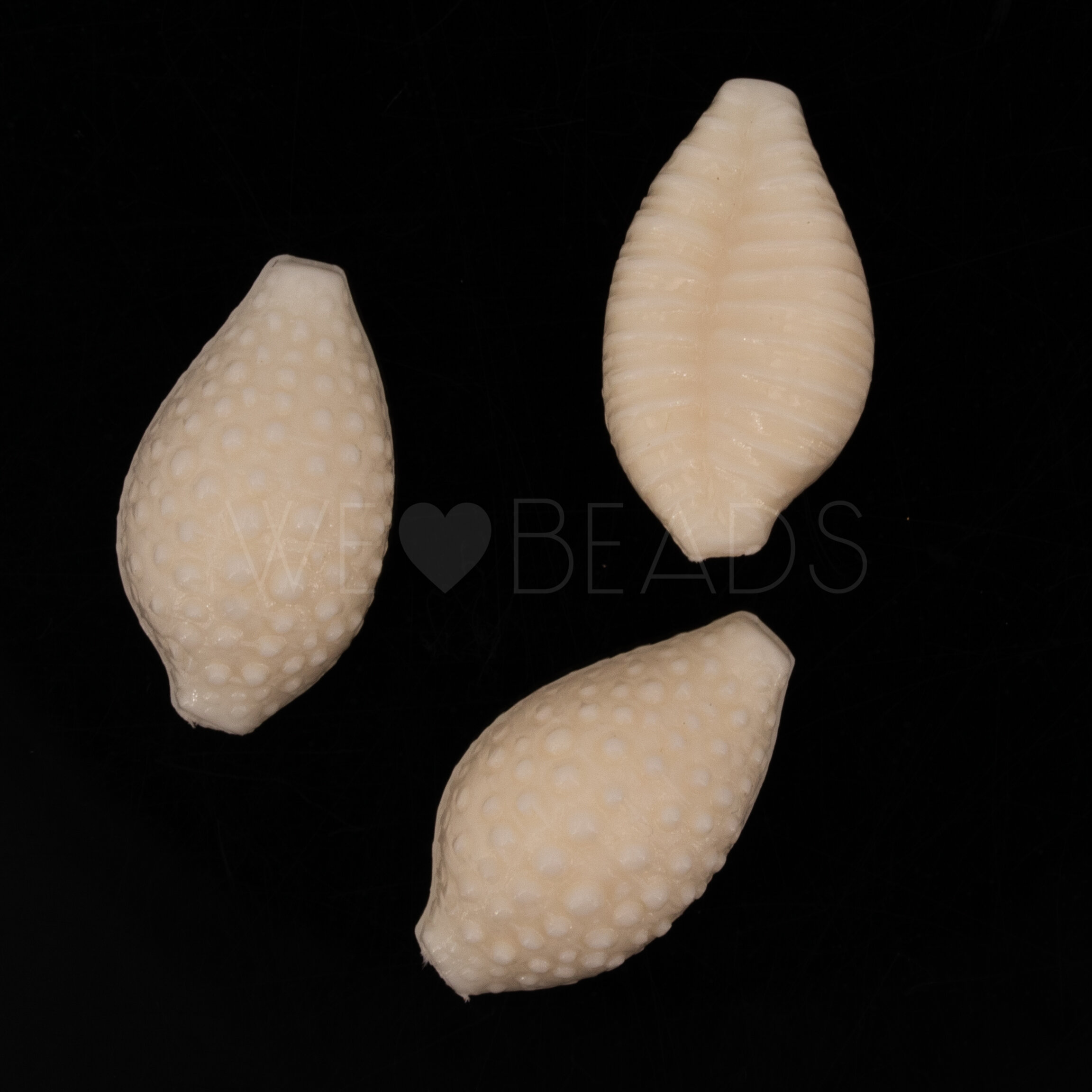 20mm Muschel Perle in elfenbein