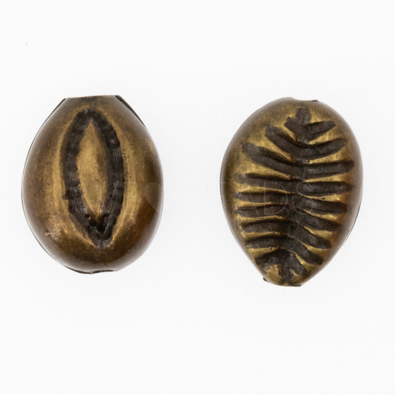 15mm Muschel Perle in Altgold