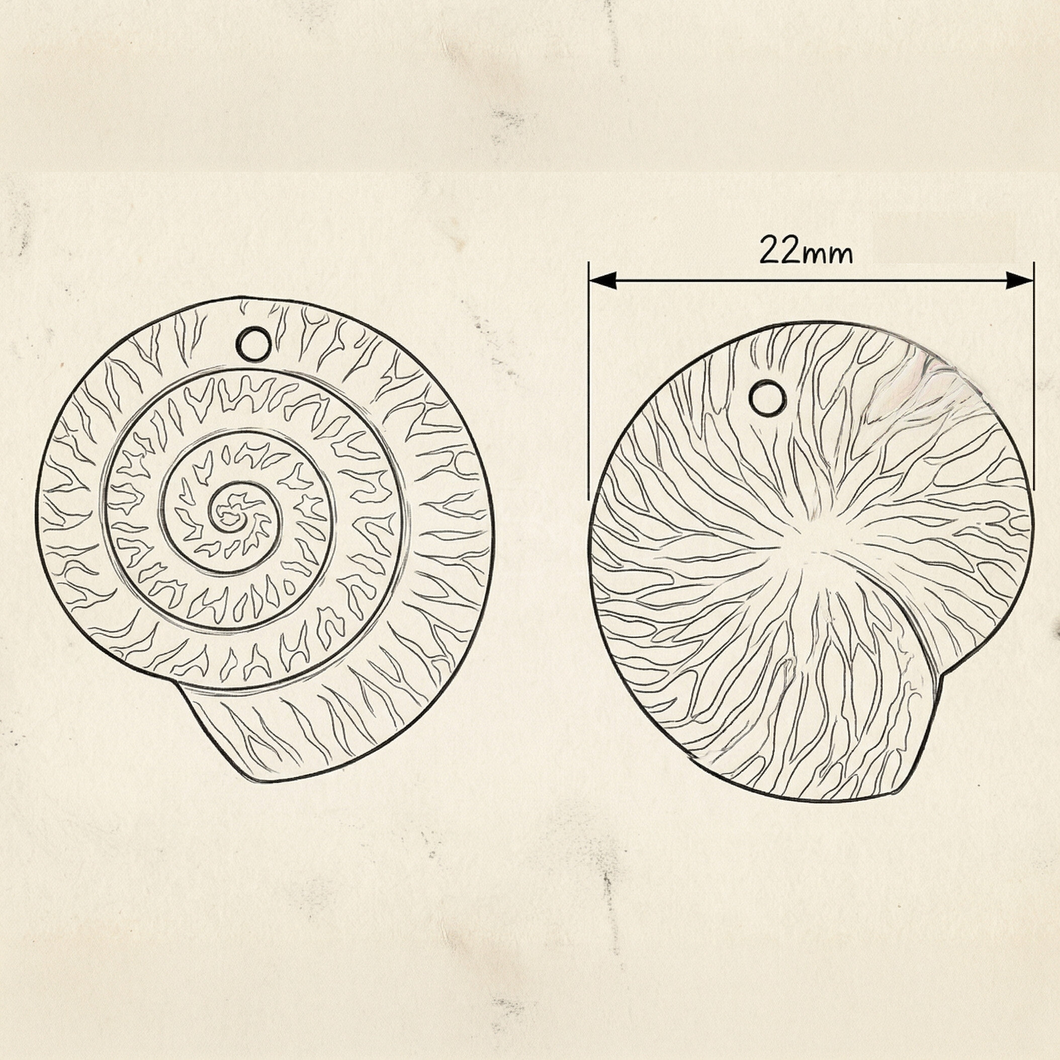 22mm Ammonit Muschel Anhänger in weiß