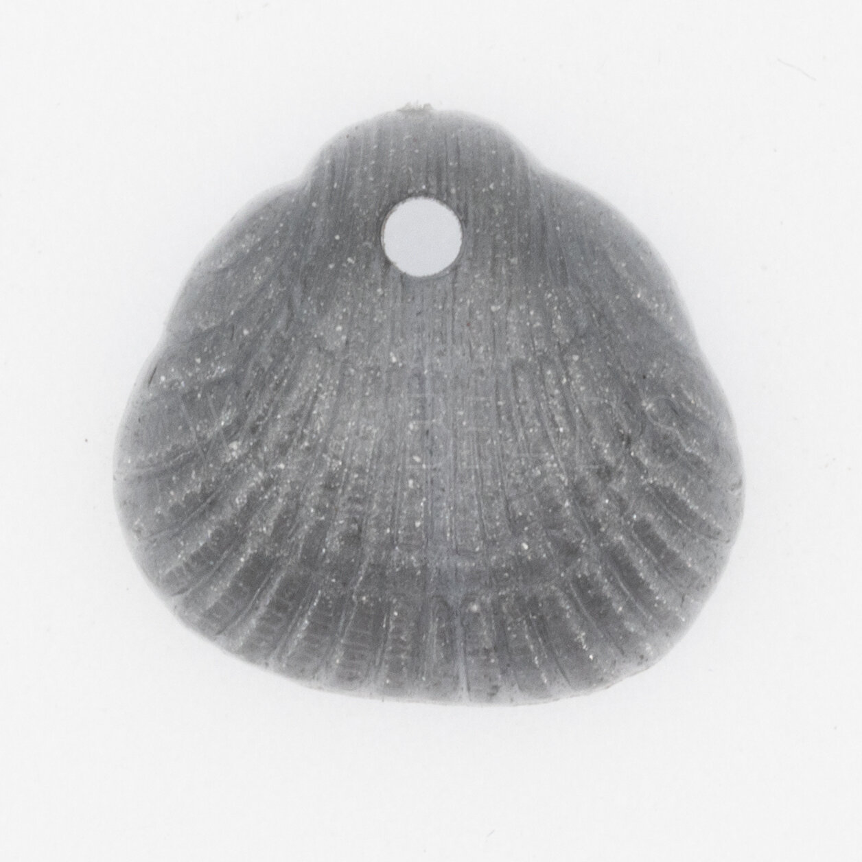 18x17 Shell Charm in silverbase