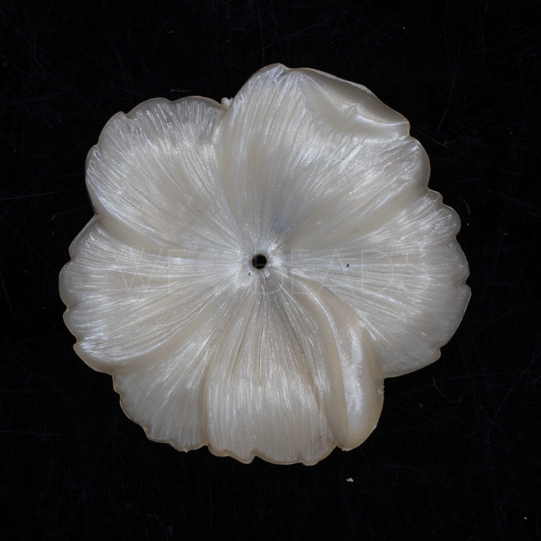 33mm Blume Perle in  Weiß