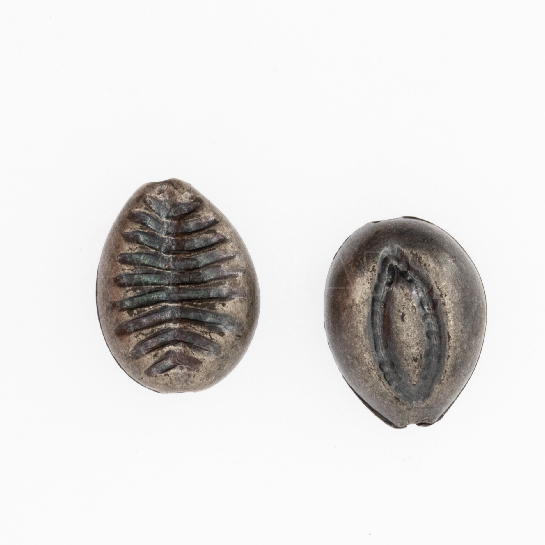 15mm Muschel Perle in Antik silber