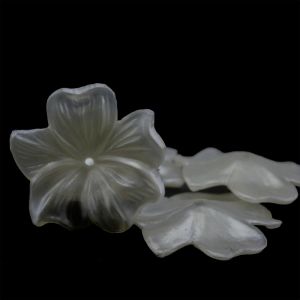 25mm Blüte  in  Weiß  